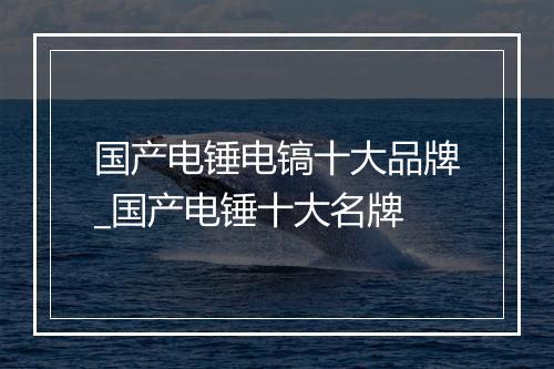 国产电锤电镐十大品牌_国产电锤十大名牌