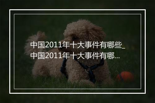 中国2011年十大事件有哪些_中国2011年十大事件有哪些呢